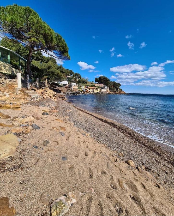 Appartement Cocooning Proche Mer Carqueiranne Exterior photo